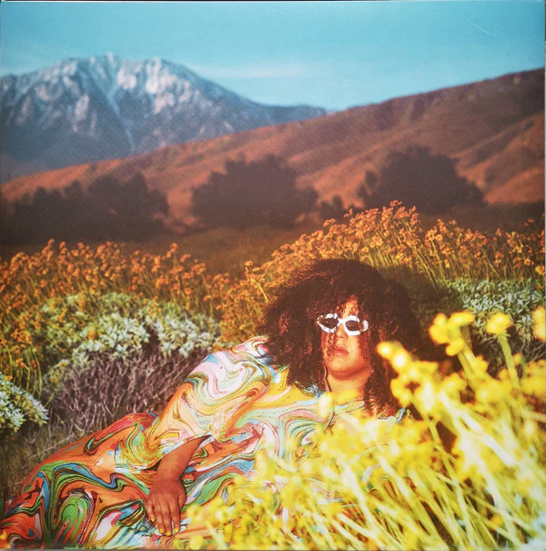Brittany Howard - What Now (LP, Album) (M / M)