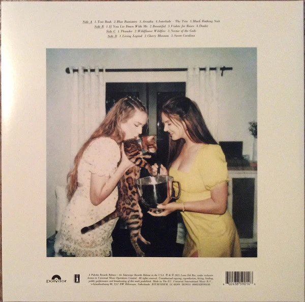 Lana Del Rey - Blue Banisters (2xLP, Album) (M / M) - Image 4