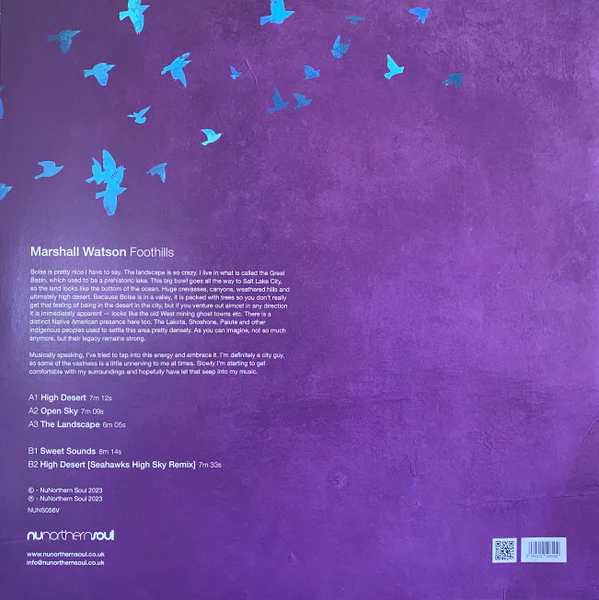Marshall Watson - Foothills (12", EP) (M / M) - Image 2