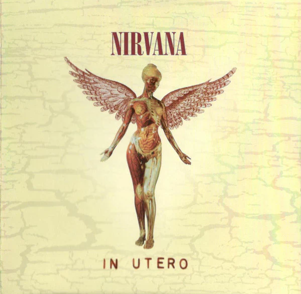 Nirvana - In Utero (CD, Album, RE, RM) (M / M)