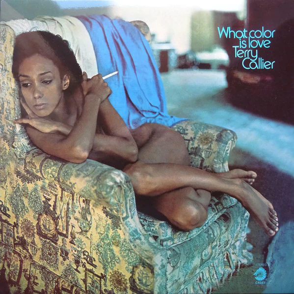 Terry Callier - What Color Is Love (LP, Album, RE, RM, 180) (M / M)