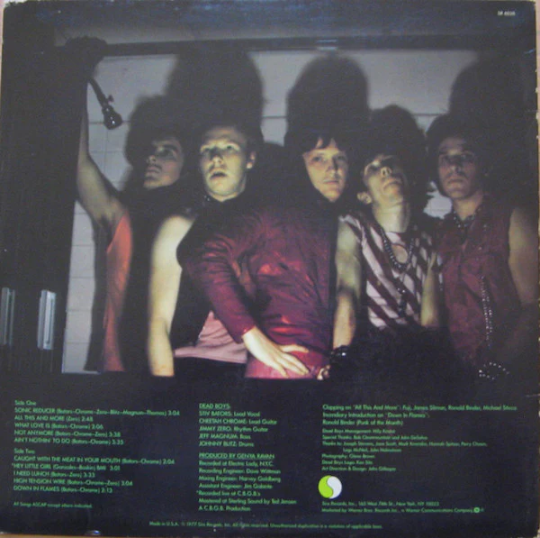 The Dead Boys - Young Loud And Snotty (LP, Album, Jac) (NM or M- / VG+) - Image 2