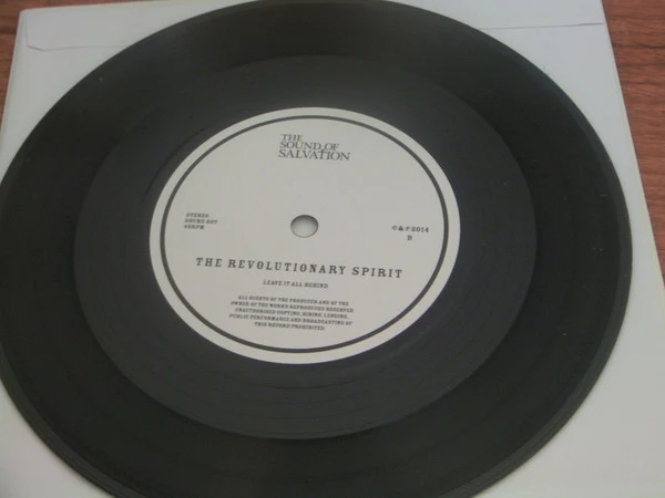 The Revolutionary Spirit - Sunshine (7") (M / M) - Image 5