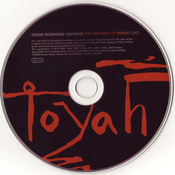 Toyah - Good Morning Universe (The Very Best Of Toyah) (2xCD, Comp, RM) (VG+ / VG+) - Image 5