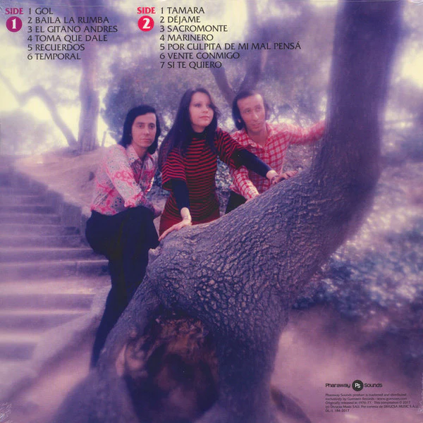 Trigal - Baila Mi Rumba (LP, Comp, RM) (M / M) - Image 3