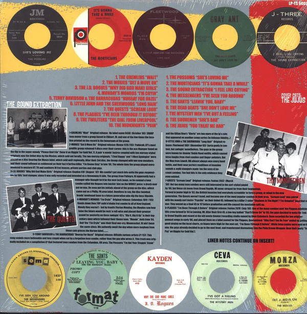 Various - You Treated Me Bad! (The Teener Side Of The Mid 60's Garage Explosion) (LP, Comp, RP) (M / M) - Image 2