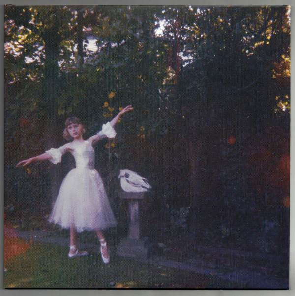 Wolf Alice - Visions Of A Life (2xLP, Album, 180) (M / M)